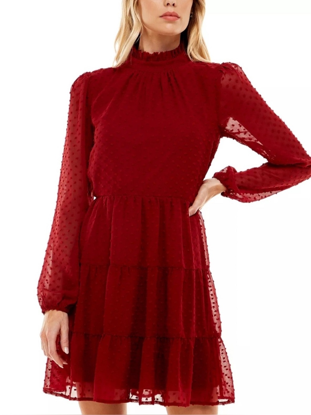 Trixxi Burgundy Swiss Dot Tiered Long-Sleeve Dress